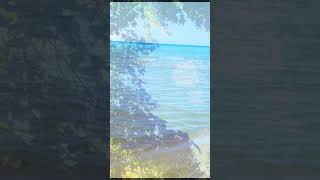 Lake Huron Caseville Michigan shorts lakehuron nature music bencaruso caseville [upl. by Fennell]