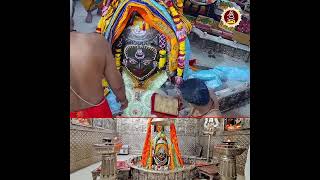 ఉజ్జయిని జ్యోతిర్లింగ దర్శనం  Mahakaleshwar Jyotirlinga Temple  Sripada Srivallabha Tv [upl. by Adnaral824]