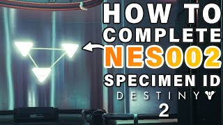 How to Complete Failsafe SPECIMEN ID NES002 Complete Guide ► Destiny 2 [upl. by Annoyik]