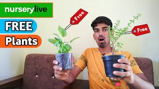 Nurserylive Free Plants  Nurserylive plants review  Nurserylive coupon code [upl. by Alihet379]