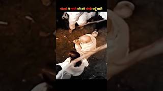 Nathuram Godse Ne Gandhi Ji Goli Ko Kyon Mari  sandeepIT shorts facts history youtubeshorts [upl. by Yhtur428]