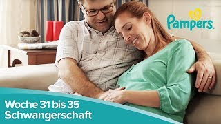 Schwangerschaftswoche 31 bis 35  Vorbereitungen zur Geburt  Pampers [upl. by Krute651]