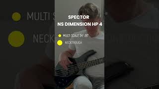 Distortion bass groove on the Spector NS Dimension HP 4 shorts spectorbass fannedfrets [upl. by Ynaffi]