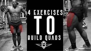 4 Exercises To Build Quads  Vastus Laterals Focus  Th3KingDeShawn [upl. by Towill]