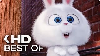 Best of Evil Snowball  The Secret Life of Pets 2016 [upl. by Leschen]