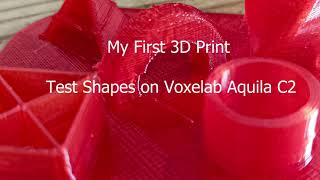 Voxelab Aquila C2 3D Printer My First Ever 3D Print Time lapse of the Shapes Test Print [upl. by Enyalb78]