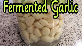 Fermented Garlic  Preserving Garlic with Fermentation [upl. by Vanna]