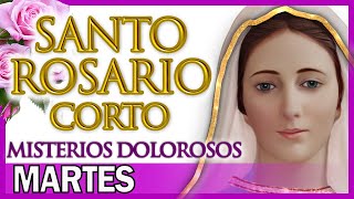 Santo Rosario Corto de Hoy Martes 🌸 Misterios Dolorosos 🌻 Rosario a Santa Virgen María [upl. by Lisabet]