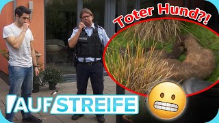 In Angst amp Bange 😬 EINBRECHER setzt für Diebstahl den HUND außer Gefecht ​ Auf Streife  SAT1 [upl. by Skipton690]