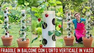 FRAGOLE SEMPRE PRONTE CON IL GIARDINO VERTICALE  TUTORIAL FACILE ORTO SUL BALCONE DI BENEDETTA [upl. by Root]