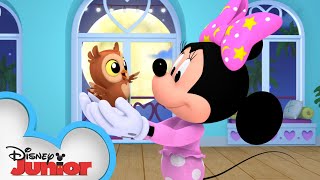 Goodnight Owl  Minnies BowToons 🎀  disneyjr [upl. by Lazor]