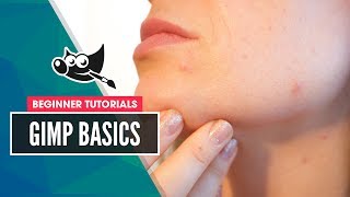 GIMP Basics Remove Skin Blemishes with The Healing Tool [upl. by Ewolram]