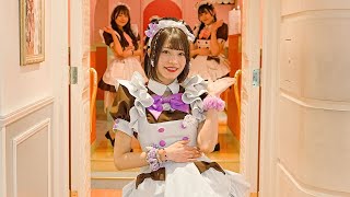 Visiting a Japanese Maid Cafe to Meet a Famous Maid💜  Home Cafe AKIHABARA  Chimu [upl. by Asela996]