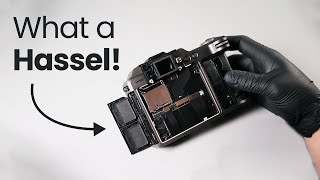 Hasselblad 1DX II 50C Teardown  Disassembly  Infrared Conversion [upl. by Aerdnua962]