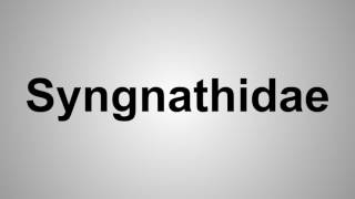 How To Pronounce Syngnathidae [upl. by Roleat]