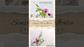 ミニ生け花🤍 イタリア シンプルライフ simplelife flowers 花 春 ミニマリスト おうち時間 spring ikebana [upl. by Ynaffyt]