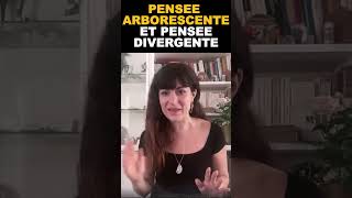 Pensée arborescente et divergente [upl. by Dazhehs]