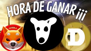 BINGX⚡️CÓMO GANAR MUCHO DINERO CON DOGS DOGE y SHIBA no te quedes AFUERA¡¡¡ [upl. by Anrym287]