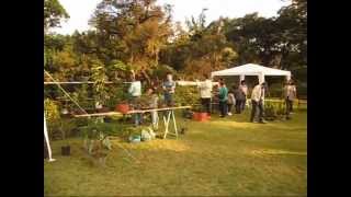 EXPOSIÇÃO DE BONSAI NO JARDIM BOTÂNICO DE SÃO PAULO  13 [upl. by Aubrey]