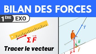 Vecteur somme des forces  1ère spécialité  Physique [upl. by Salvidor103]