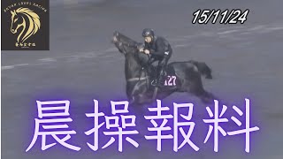 【熱門不穩馬】聽晚有隻大熱晨操快跳「發曬癲」｜晨操報料｜第三場 第七場 11月20日 谷草夜賽 [upl. by Waldman]