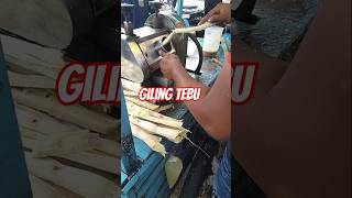 Proses mengambil air tebu menggunakan mesin [upl. by Beitris]