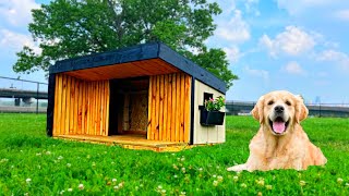 How to build a luxury dog house [upl. by Worth85]