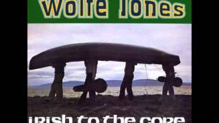 The Wolfe Tones  The Limerick Races [upl. by Gaulin]