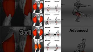 Leg Workouts for ALL Levels Beginner to Advanced Training [upl. by Llennod]