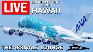 LIVE🔴 A380s Arrive During Livestream Plane Spotting in Hawaii quotThe Arrivals Loungequot PHNLHNL [upl. by Maguire]