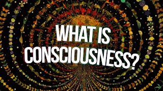 consciousness [upl. by Osy169]