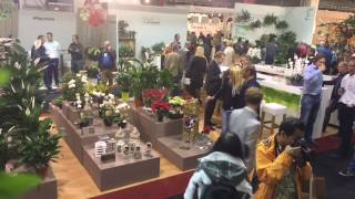 Greensales Beurs [upl. by Nomma978]