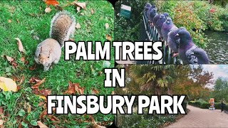 🇬🇧 FINSBURY PARK Wildlife Autumn Leaves Mini Gym Boating lake🌴🍁🍃🍂🌿 [upl. by Duane43]