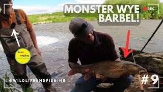 MONSTER Barbel  River Wye fishing with AvonAnglingUK [upl. by Nirra]