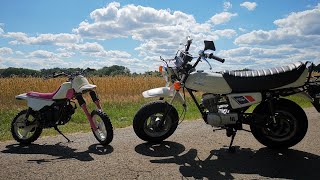 YAMAHA PW50 VS HONDA CY50 [upl. by Ynner]