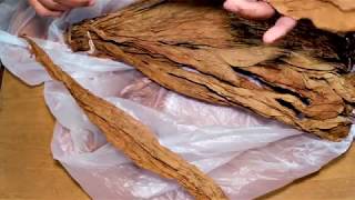 How To Roll Cigars from Binder Prep to Triple Cap [upl. by Ahselet]