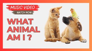 Inferencing  What Animal Am I Preschool Inference Activity Early Reader Video [upl. by Uis]