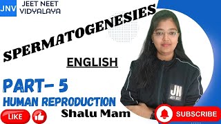 SPERMATOGENESIS PART 5HUMAN REPRODUCTION SHALU NEET TRICKS LINE BY LINE ZOOLOGY CBSE ENGLISH [upl. by Standford]