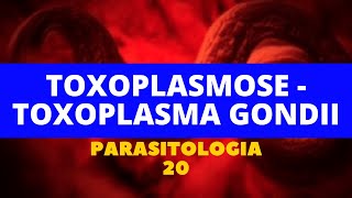 TOXOPLASMOSE  TOXOPLASMA GONDII  PARASITOLOGIA 20 [upl. by Anica]