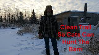 Off Grid Full Time Is It Worth It In Alberta  Need Snow Did You Miss My Previous Video  S3E106 [upl. by Nissy]