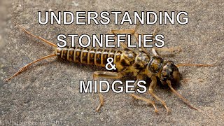 Understanding Stoneflies amp Midges with Tom Rosenbauer [upl. by Shaddock]