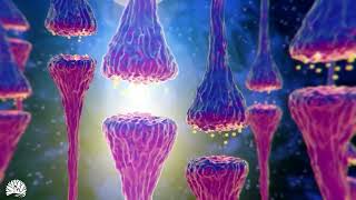 528hz Miracle Tone  Dna Repair amp Healing Nerve And Cell Regeneration Complete Body Healing [upl. by Nivar35]