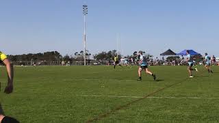 Taree City Bulls Reserve Grade Semi final V Port Sharks 14 09 2024 1st Half [upl. by Harwin719]