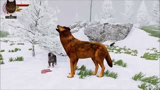 Accurate WolfQuest AE Hygge Pack S4 4  Diminishing Hope [upl. by Nisay432]