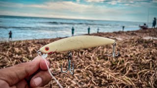 PESCA de ORILLA con Señuelos  Encontramos los robalos en la bocana del rio [upl. by Eedebez257]