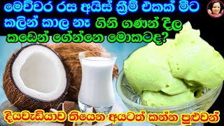 පොල්කිරි මේ තරම් රසයිද කඩේ අයිස්ක්‍රීම් මොකටද මෙහෙම සුපිරියට හදාගන්න Vegan Ice Cream Coconut milk [upl. by Alessandro]