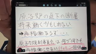 原子力規制委員会という再稼働は絶対させない組織が邪魔をするのが現状。 アレクサのライブ配信 ＃日本保守党 ＃百田尚樹 ＃河村たかし ＃有本香 ＃広沢一郎 [upl. by Alegre128]