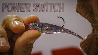 The NEW Berkley PowerBait Power Switch w John Hoyer [upl. by Neehsas703]