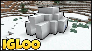 Where To Find IGLOOS In MINECRAFT [upl. by Aridatha579]