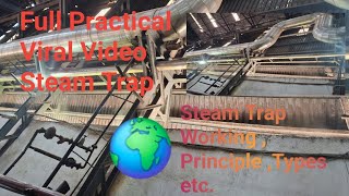 Steam Trap Working Types Principle Which Type Of Steam Trap Mostly Used in Company Best Video 🌍 [upl. by Gilberta]